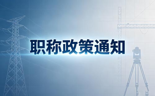 专业技术工作总结职称